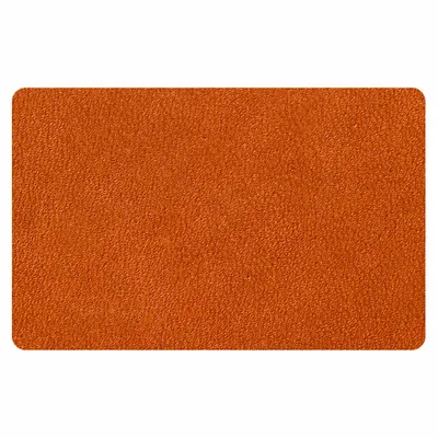 Tan Tan - Custom Flying Discs