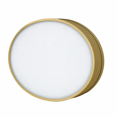 No Bracket - Custom Flying Discs