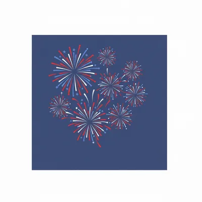 Style 2 - Custom Flying Discs