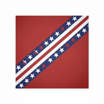 Style 3 - Custom Flying Discs