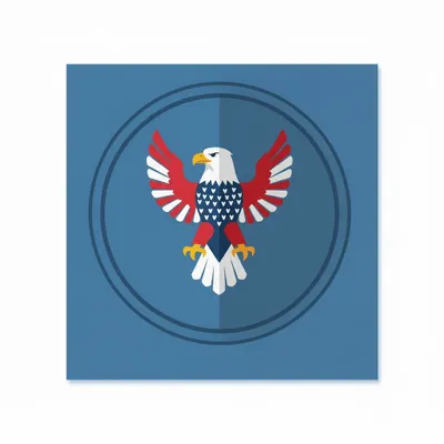 Style 4 - Custom Flying Discs