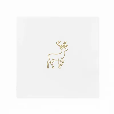 Style 5 - Custom Flying Discs