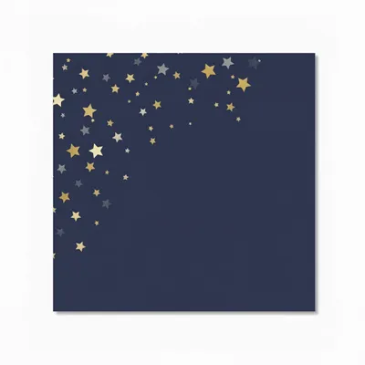 Style 3 - Custom Flying Discs