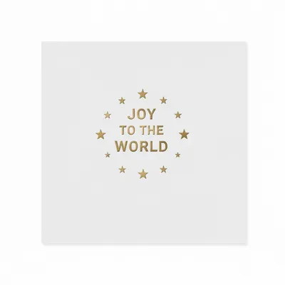 Style 8 - Custom Flying Discs