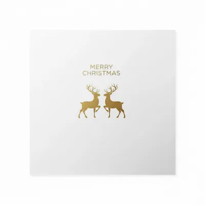 Style 12 - Custom Flying Discs