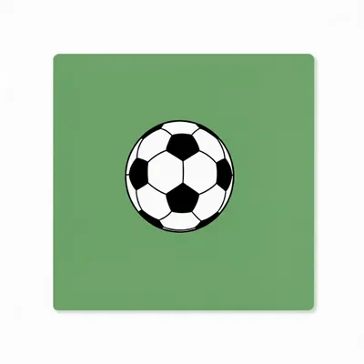 Style 1 - Custom Flying Discs