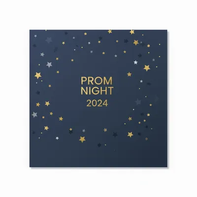 Style 16 - Custom Flying Discs