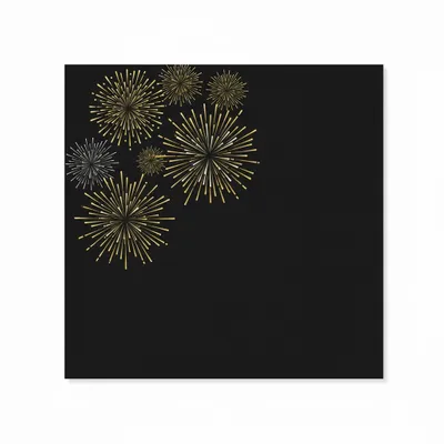 Style 1 - Custom Flying Discs