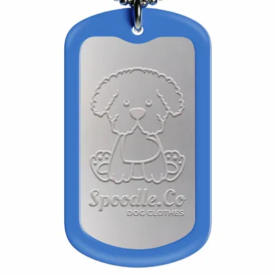 Blue - Custom Flying Discs