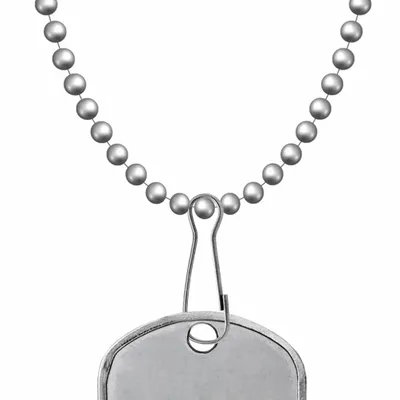 Snap Hook - Custom Flying Discs