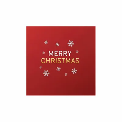 6.5 in x 6.5 in - Custom Flying Discs