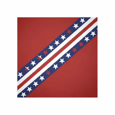 8 in x 8 in - Custom Flying Discs