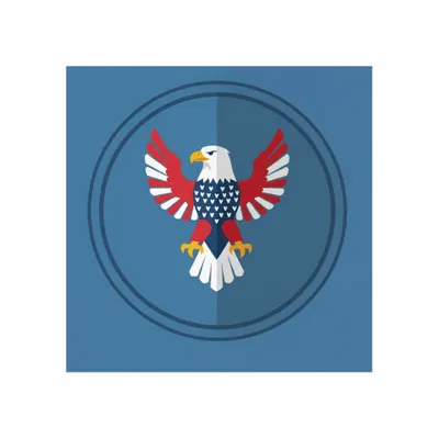 Standard - Custom Flying Discs