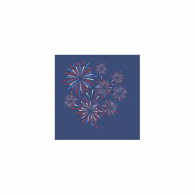 5 in x 5 in - Custom Flying Discs