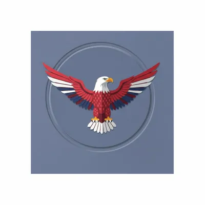 Standard - Custom Flying Discs