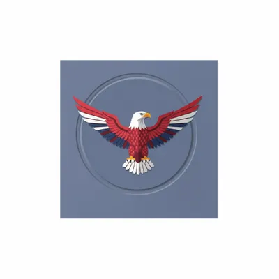 6.5 in x 6.5 in - Custom Flying Discs