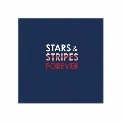 Standard - Custom Flying Discs