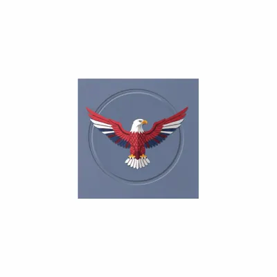 5 in x 5 in - Custom Flying Discs