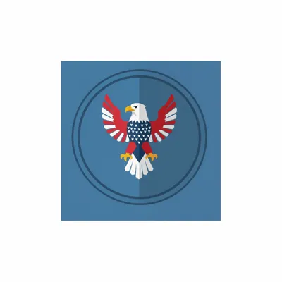 6.5 in x 6.5 in - Custom Flying Discs