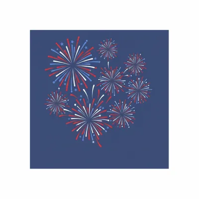 Standard - Custom Flying Discs