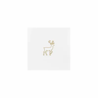 5 in x 5 in - Custom Flying Discs