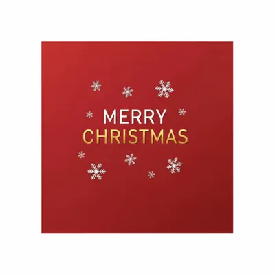 8 in x 8 in - Custom Flying Discs