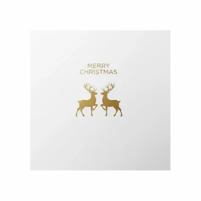 Standard - Custom Flying Discs