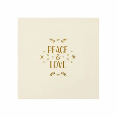 8 in x 8 in - Custom Flying Discs