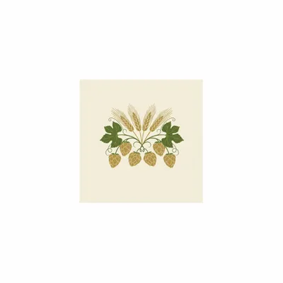 5 in x 5 in - Custom Flying Discs