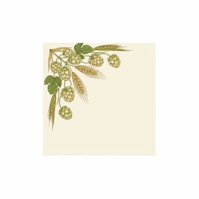 6.5 in x 6.5 in - Custom Flying Discs