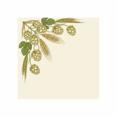 Standard - Custom Flying Discs