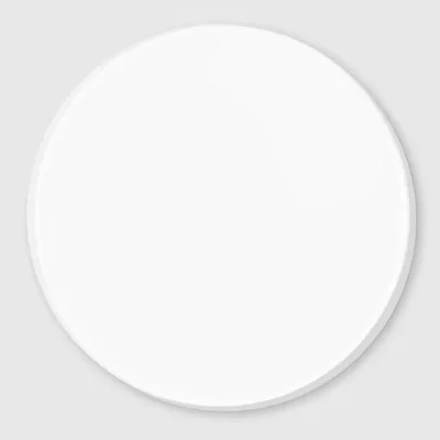 Round - Custom Flying Discs