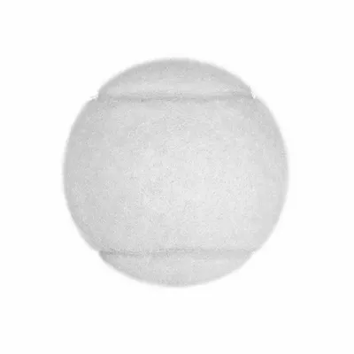 White - Custom Flying Discs