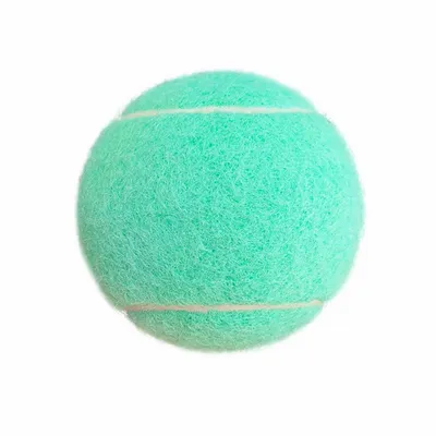 Mint Green - Custom Flying Discs