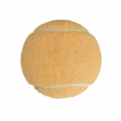 Rice Orange - Custom Flying Discs