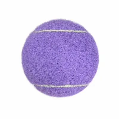 Purple - Custom Flying Discs