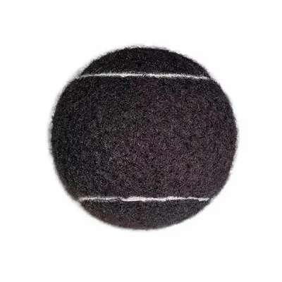 Back - Custom Flying Discs