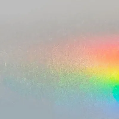 Metallic 10 - Custom Flying Discs