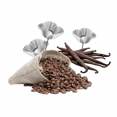 Black Opium - Custom Flying Discs