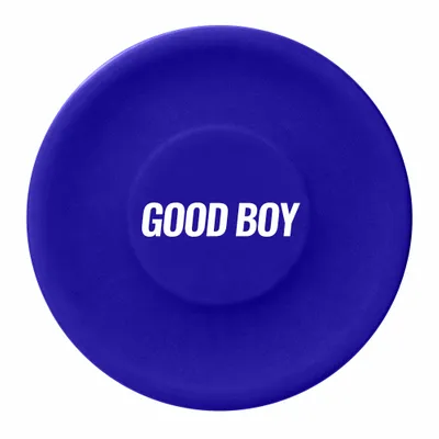 Navy Blue - Custom Flying Discs