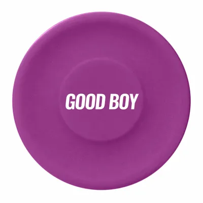 Purple - Custom Flying Discs