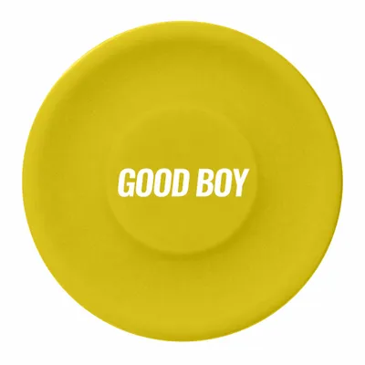 Yellow - Custom Flying Discs