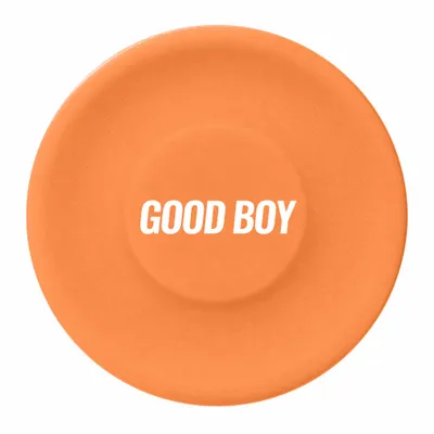 Orange - Custom Flying Discs
