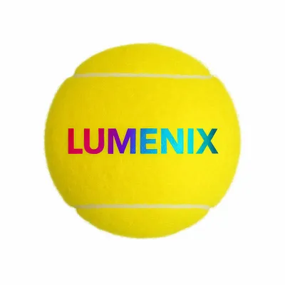 Digital Foil Stamping - Custom Flying Discs