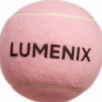 Hot Stamped - Custom Flying Discs