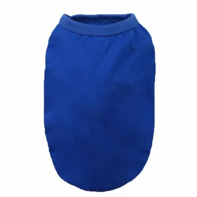 Blue - Custom Flying Discs