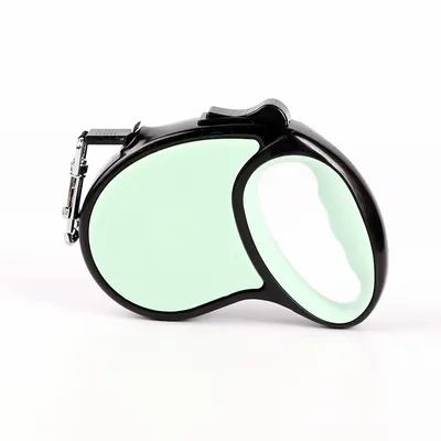 Mint Green - Custom Flying Discs