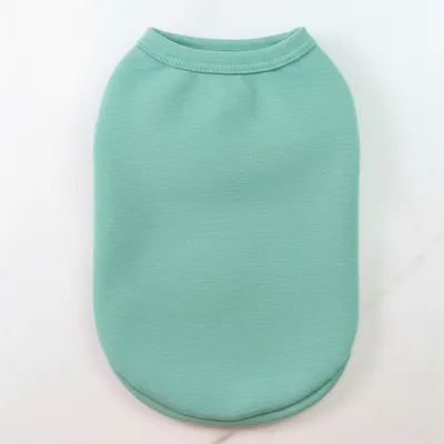 Mint Green - Custom Flying Discs