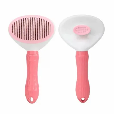 Pink - Custom Flying Discs