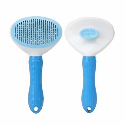 Blue - Custom Flying Discs